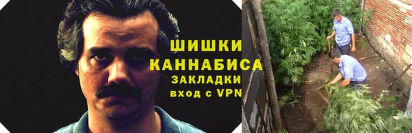 амф Арсеньев