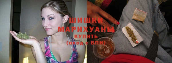 амф Арсеньев